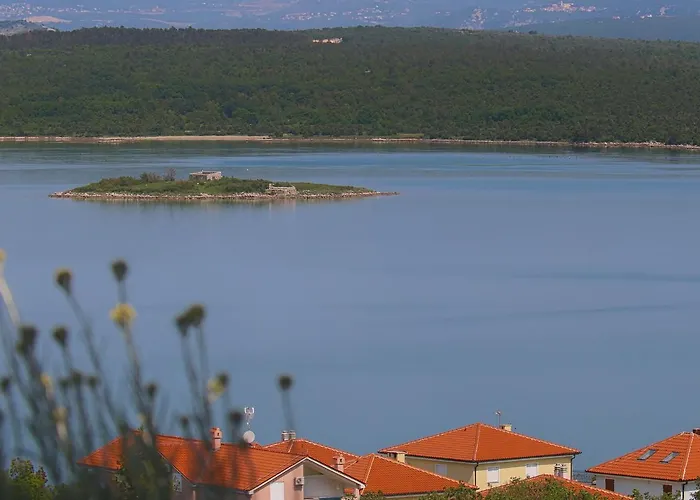 View Point