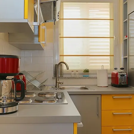 View Point 아파트 클림노